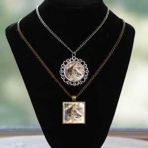 Coyote Jewelry - Pendants, Earrings, and Sets