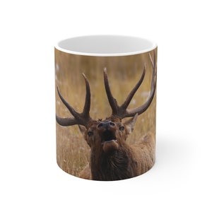 Mug 11oz - Laying Down on the Job - Personalizable