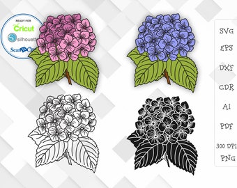 Hydrangea Svg Etsy