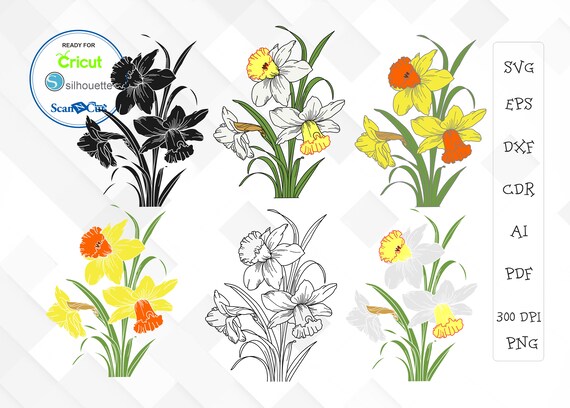 Free Free 127 Narcissus Flower Svg SVG PNG EPS DXF File