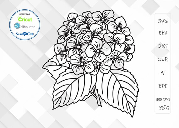 Free Free Vector Flower Svg Free SVG PNG EPS DXF File