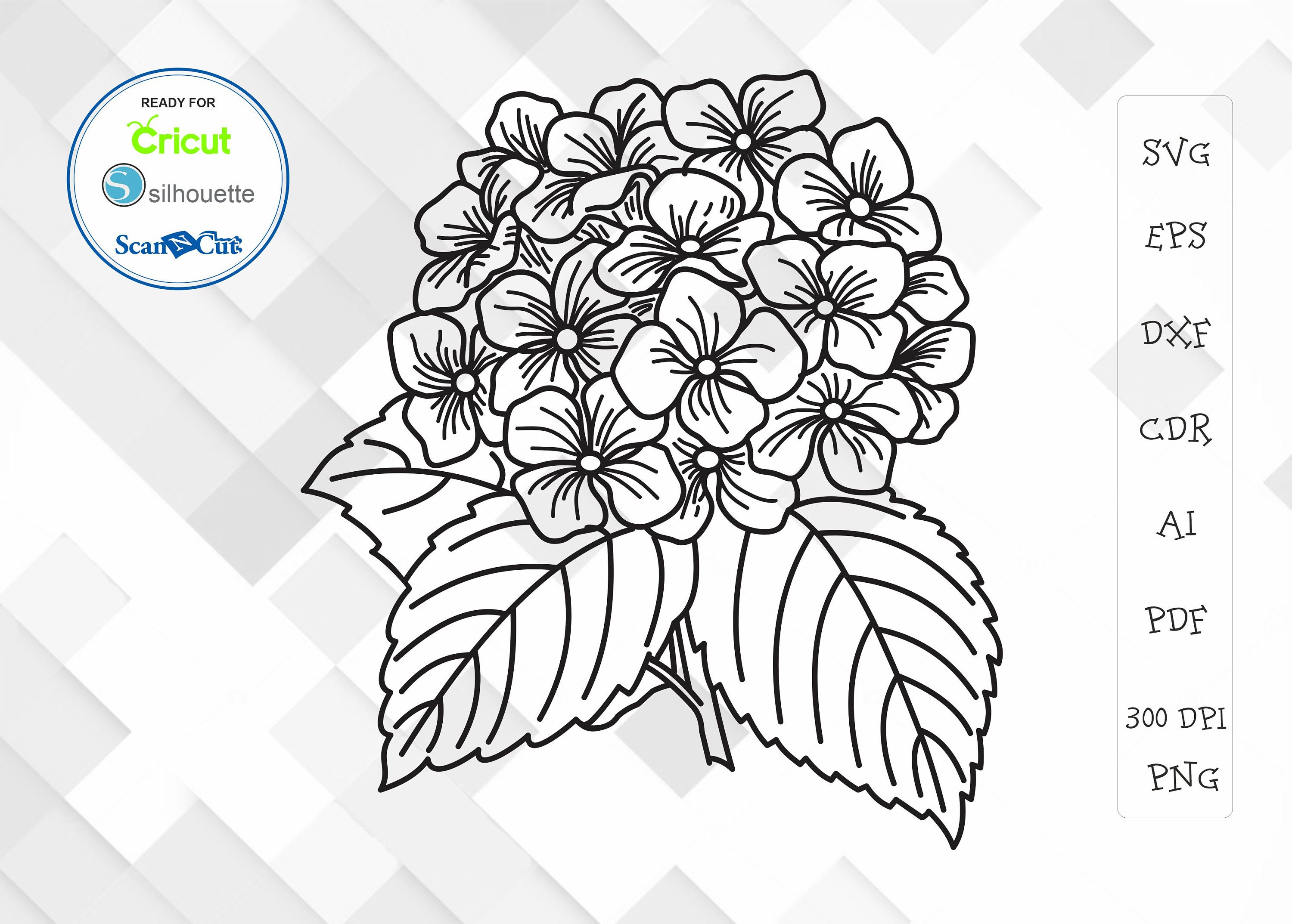 Hydrangea Svg Png Dxf Garden Svg Flower Vector Designs | Etsy
