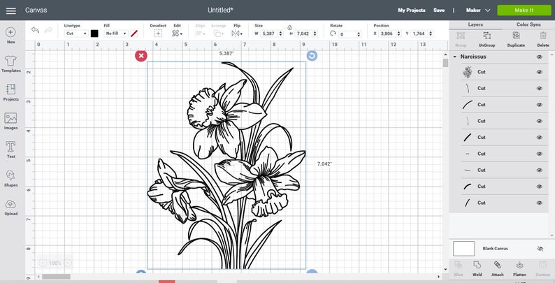 Download Narcissus flower Svg Png Clipart Vector Cricut Cut Flower ...