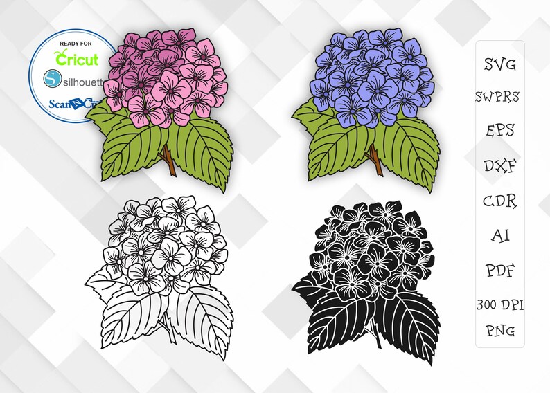 Download Line Drawing Black Outline Hydrangea Set Svg Png Dxf Vector Flowers Hydrangea Clipart Garden Svg Flower Vector Designs Clip Art Art Collectibles Mukena Id