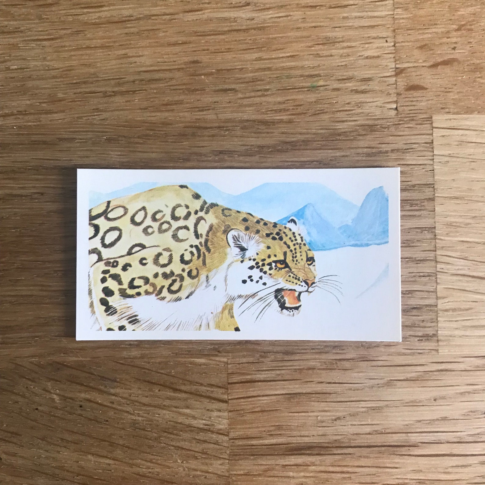 Vanishing wildlife essay image