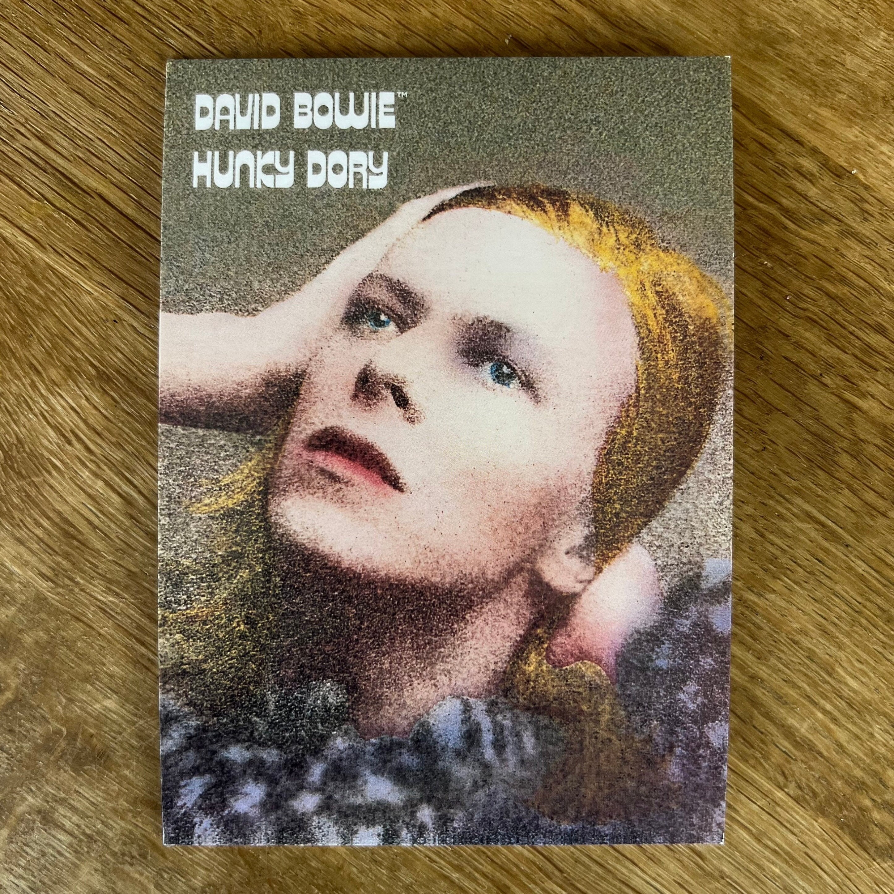 David Bowie Hunky Dory Photoshoot
