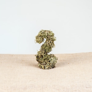 Moss Table number Wedding Natural decoration Woodland Boho Style