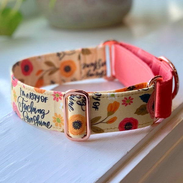 I'm a ray of Fucking Sunshine Dog Collar- Martingale- Quick Release- No Buckle Slide- Leash- Handmade Dog Collars