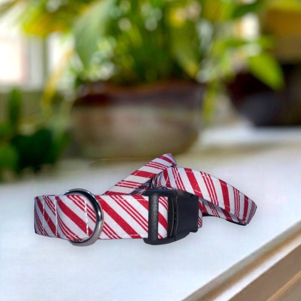 Peppermint Stripes Dog Collar- Martingale- Quick Release- No Buckle Slide- Leash- Handmade Dog Collars