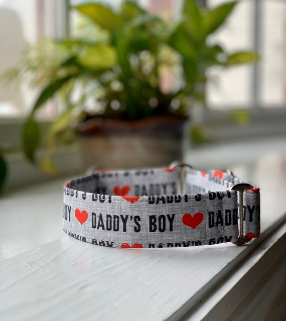 Boy dog store collars etsy