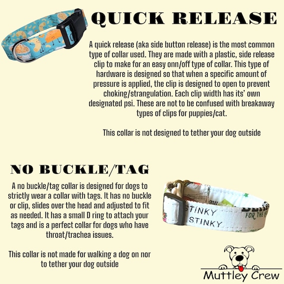 No buckle dog collar discount