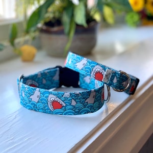 Sharks Dog Collar- Martingale- Quick Release- No Buckle Slide- Leash- Handmade Dog Collars