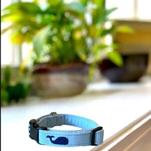 Whale of a Time Dog Collar- Martingale- Quick Release- No Buckle Slide- Leash- Handgemaakte halsbanden