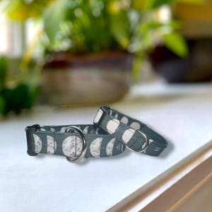 Moon Phases Dog Collar- Martingale- Quick Release- No Buckle Slide- Leash- Handmade Dog Collars
