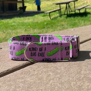 Kind of a big dill Dog Collar- Martingale- Quick Release- No Buckle Slide- Leash- Handmade Dog Collars