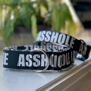 May include: Black and white dog collar with the word "ASSHOLE" repeated on it. The collar has a silver metal ring.