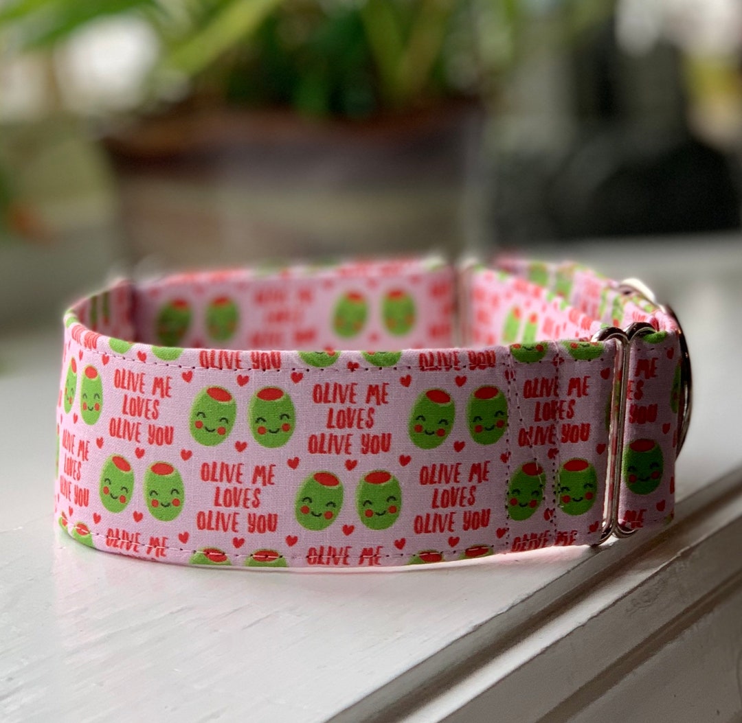 Olive Me Dog Collar Martingale Quick Release No Buckle Slide Leash