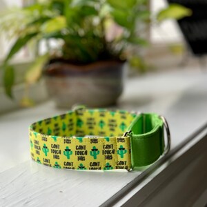 You Can’t Touch This Dog Collar- Martingale- Quick Release- No Buckle Slide- Leash- Handmade Dog Collars