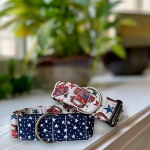 Patriotic Summer Dog Collar- Martingale- Quick Release- No Buckle Slide- Leash- Handmade Dog Collars
