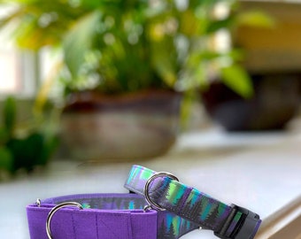 Northern Lights Dog Collar- Martingale- Quick Release- No Buckle Slide- Leash- Handmade Dog Collars