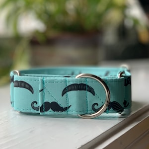 May include: A light blue dog collar with a black and white mustache pattern. The collar has a silver metal buckle.