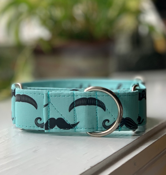dapper dog collars