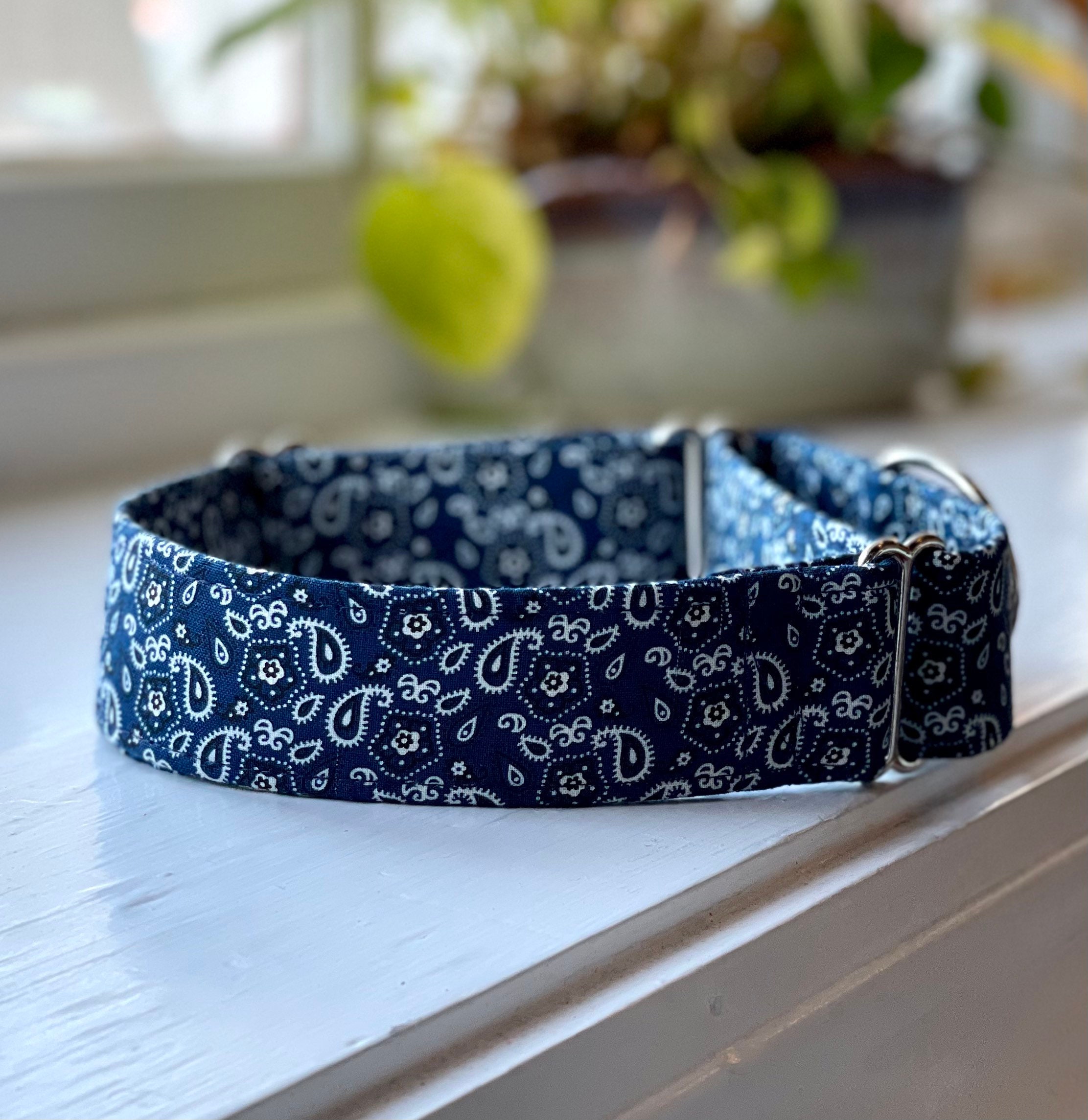 blue bandana dog collar