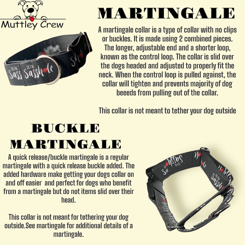 May include: Black and grey dog collar with the text "Total Sass" and a red heart. The collar is a martingale style with a buckle closure. The text "Buckle Martingale" is written in white on a black background.
