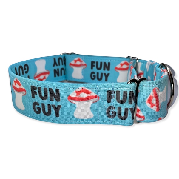 Fun Guy Dog Collar- Martingale- Quick Release- No Buckle Slide- Leash- Handmade Dog Collars