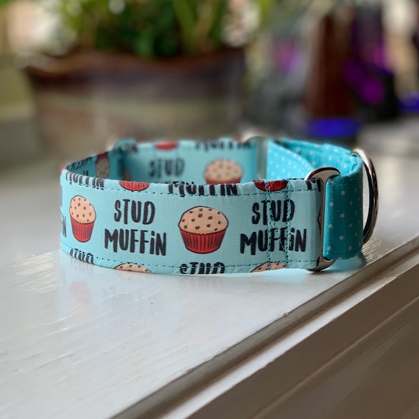 Stud Muffin Dog Collar- Martingale- Quick Release- No Buckle Slide- Leash- Handmade Dog Collars