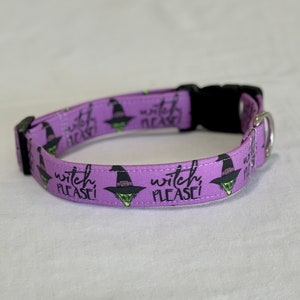Witch Please Dog Collar- Martingale- Quick Release- No Buckle Slide- Leash- Handmade Dog Collars