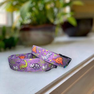 Puede incluir: Un collar para perro morado con un estampado de dinosaurio de Halloween. El collar presenta una variedad de dinosaurios, incluyendo un T-Rex, un Triceratops y un Stegosaurus. Los dinosaurios llevan disfraces, como un disfraz de momia y un disfraz de calabaza.
