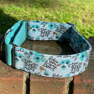 Before you hug me…. Don’t! Dog Collar- Martingale- Quick Release- No Buckle Slide- Leash- Handmade Dog Collars