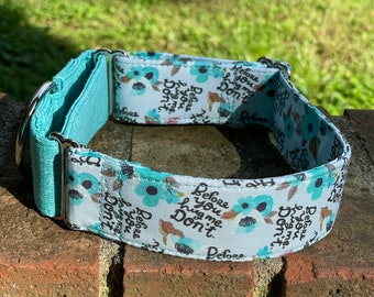 Before you hug me…. Don’t! Dog Collar- Martingale- Quick Release- No Buckle Slide- Leash- Handmade Dog Collars