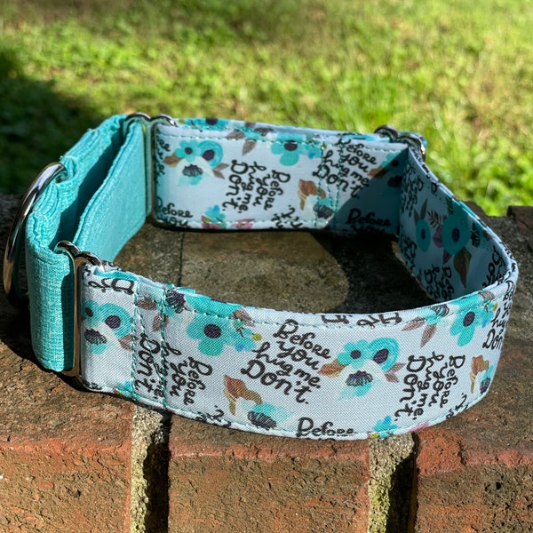 Before you hug me…. Don’t! Dog Collar- Martingale- Quick Release- No Buckle Slide- Leash- Handmade Dog Collars