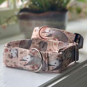 Opossum Dog Collar- Martingale- Quick Release- No Buckle Slide- Leash- Handmade Dog Collars