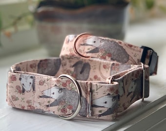 Opossum Dog Collar- Martingale- Quick Release- No Buckle Slide- Leash- Handmade Dog Collars