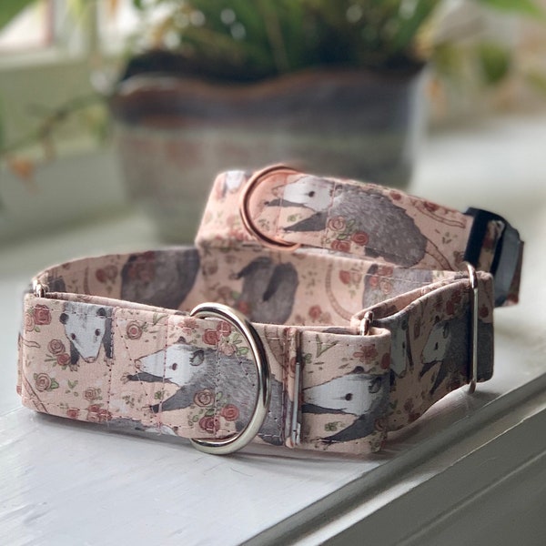 Opossum Dog Collar- Martingale- Quick Release- No Buckle Slide- Leash- Handmade Dog Collars