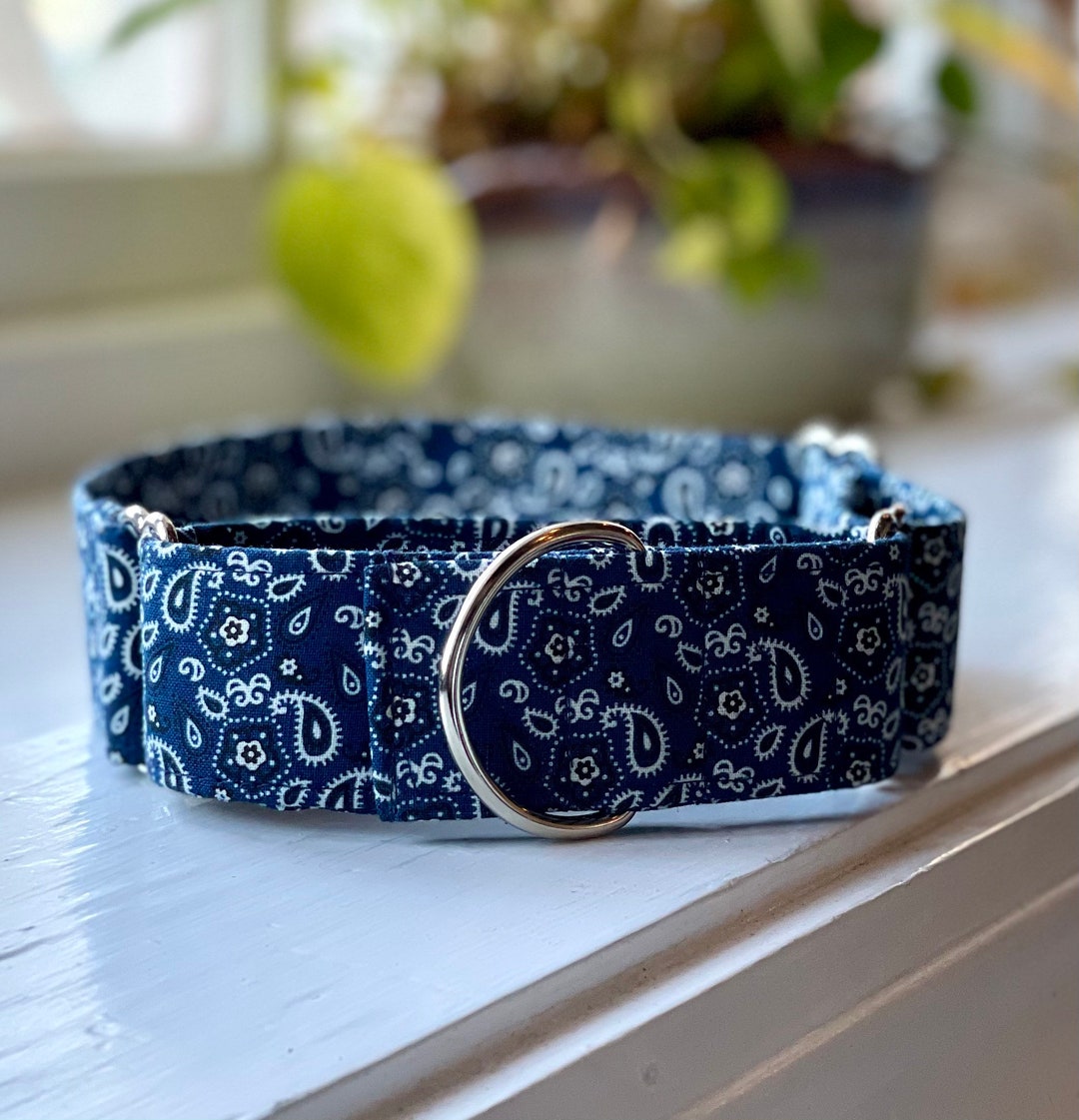 Blue Bandana Dog Collar Martingale Quick Release No Buckle Slide Leash