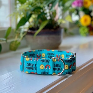 Chick Magnet Dog Collar- Martingale- Quick Release- No Buckle Slide- Leash- Handmade Dog Collars