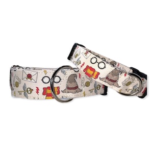 Wizards and Witches Dog Collar- Martingale- Quick Release- No Buckle Slide- Leash- Handmade Dog Collars