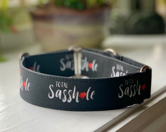 Total Sasshole Dog Collar- Martingale- Quick Release- No Buckle Slide- Leash- Handmade Dog Collars