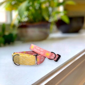 Sun’s out, Tongue’s Out in Pink Dog Collar- Martingale- Quick Release- No Buckle Slide- Leash- Handmade Dog Collars