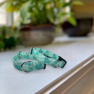 Grumpy Feelings Dog Collar- Martingale- Quick Release- No Buckle Slide- Leash- Handmade Dog Collars