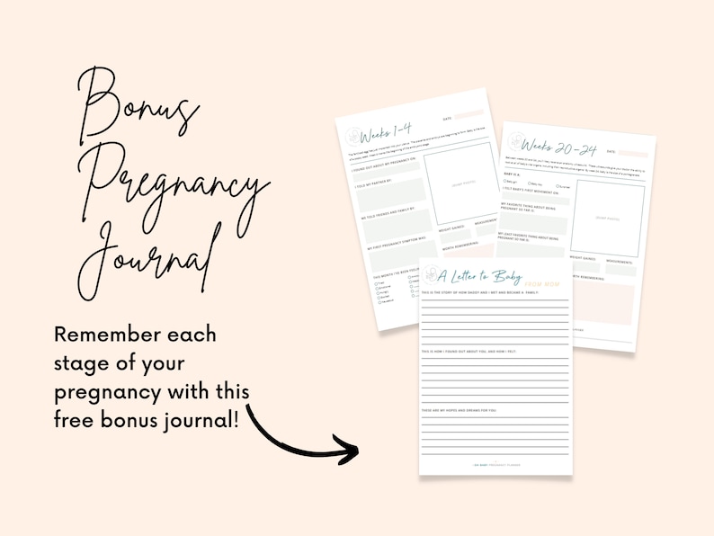 May include: A printable pregnancy journal with sections for weeks 1-4 and 20-24. The journal includes a section titled "A Letter to Baby" with lined space for writing.