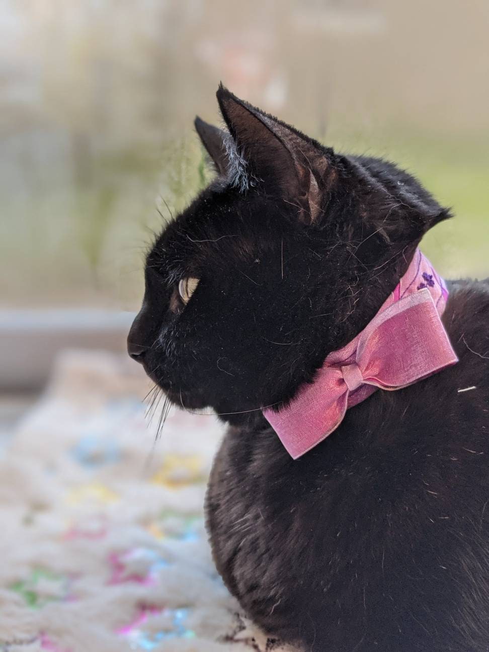Unique Purple Collar Embroidered Cat Collar Bow Tie Cat Etsy