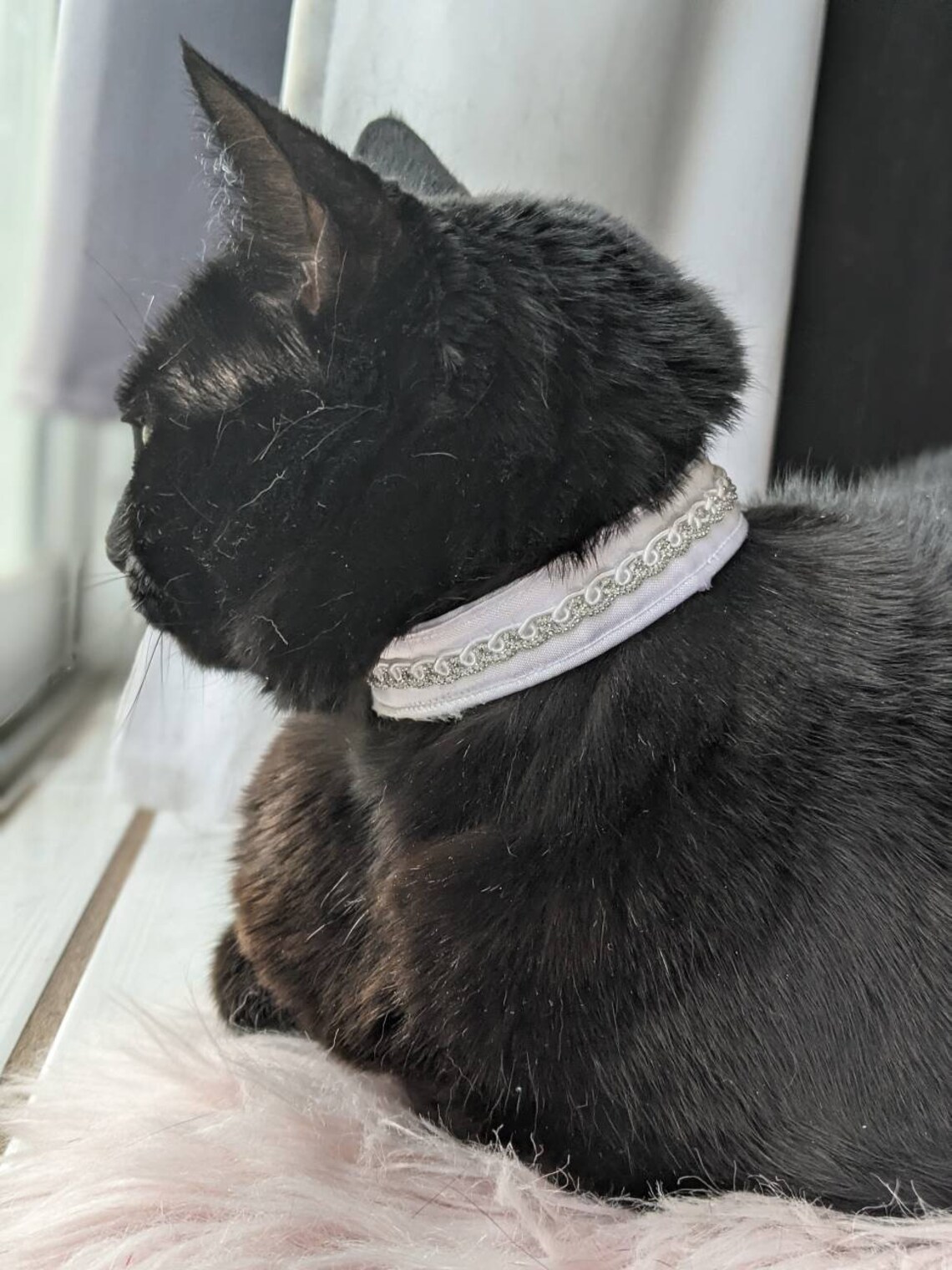 White Wedding Collar for Cat Elegant Cat Accessory White Cat Etsy