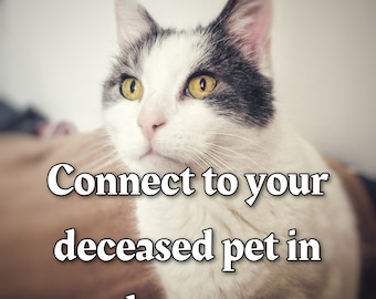Connect to your deceased pet - otherworldly contact - medium
