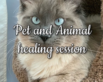 Pet and Animal healing sessions - healing for animals - healing for dogs cats horses and birds - energy healing sessions