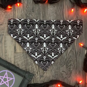 MORTICIA BANDANA - Ghost Dog Bandana - Gothic Dog Bandana - Over The Collar or Tie On Bandana - Damask Pet Bandana - Halloween Dog Bandana